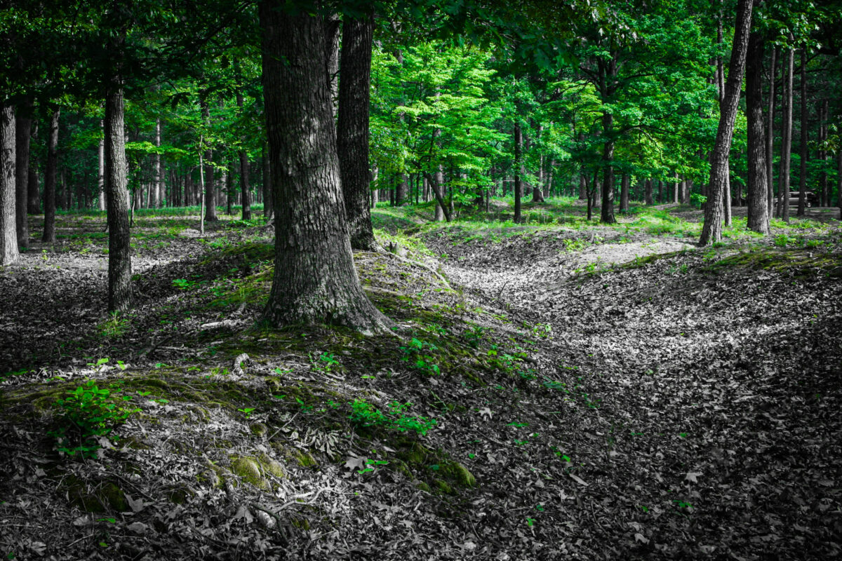 Featured image for Cold Harbor Battlefield: A Haunting Portal to the Past