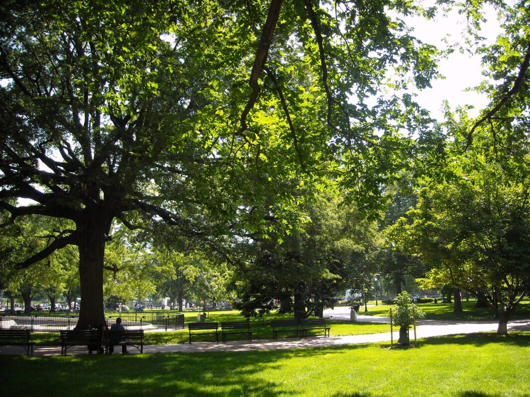 Featured image for Lafayette Square: A Haunted Heritage in Washington, D.C.