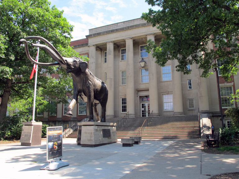 Morrill Hall: A Tapestry of Nebraska’s Natural and Cultural Heritage